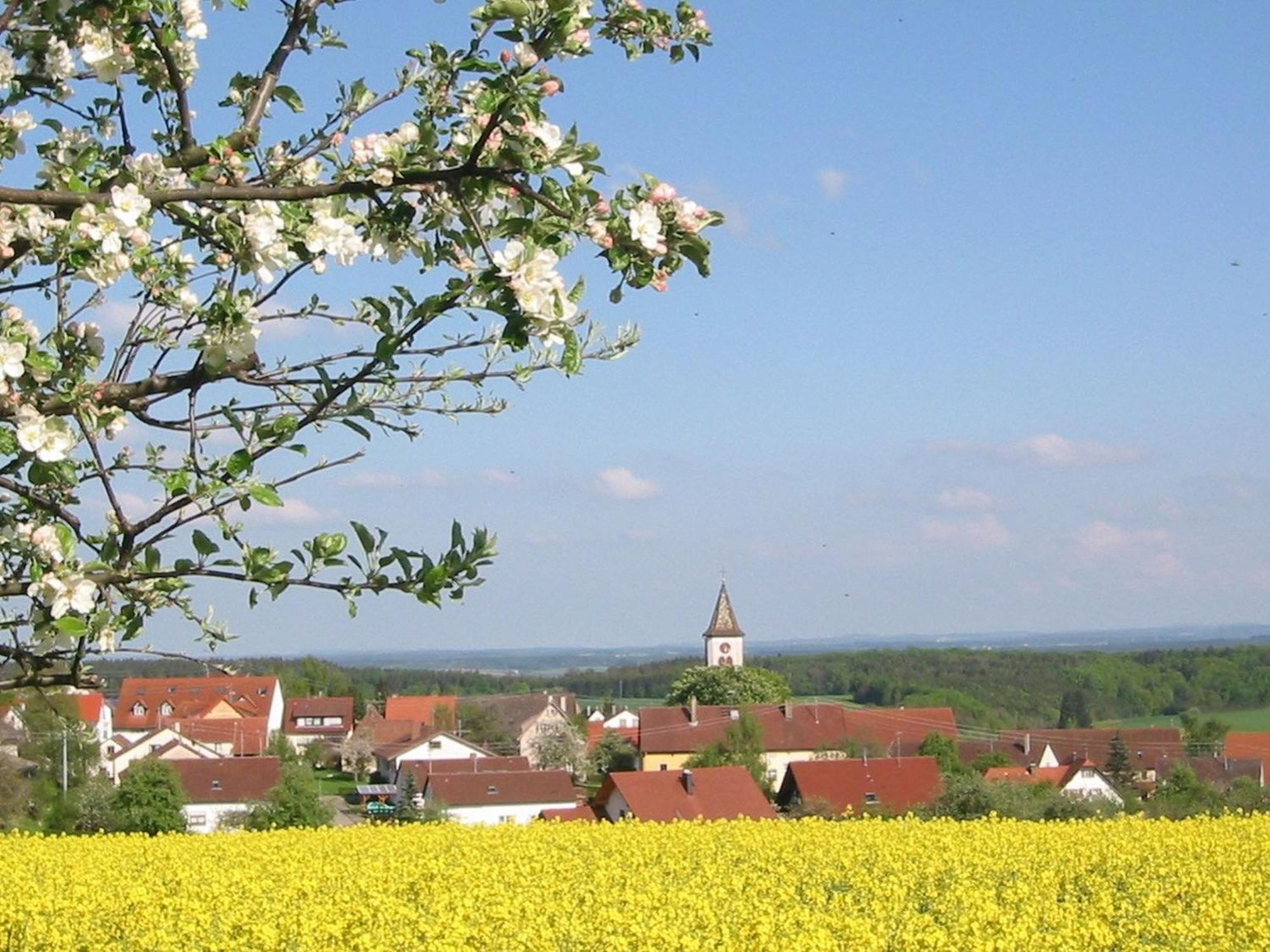 Vila Kleine Auszeit Thalheim  Exteriér fotografie